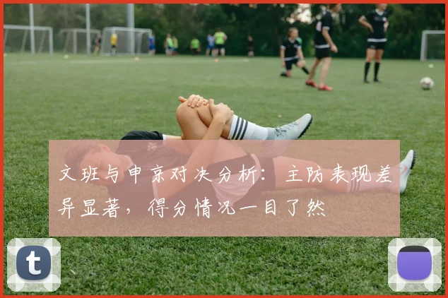 文班与申京对决分析：主防表现差异显著，得分情况一目了然